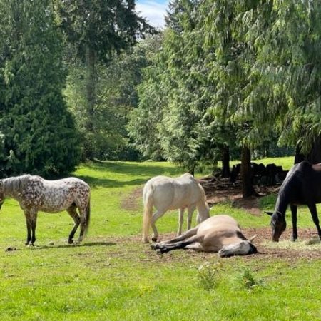 322714322_1200548954169944_3860563058192772375_n