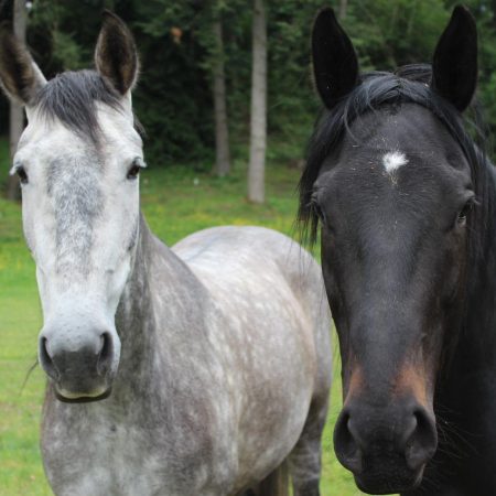 368864211_6207440839366718_5872202261511079956_n