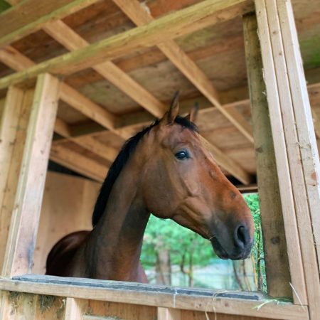 thumbnail_543fa86f-a361-4210-b627-c68deec308a2