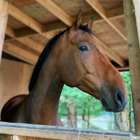 thumbnail_543fa86f-a361-4210-b627-c68deec308a2