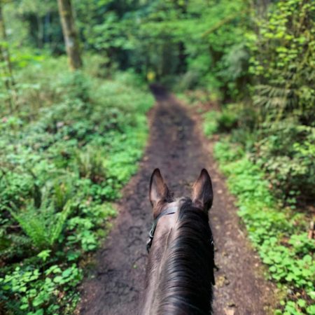 thumbnail_60a30739-bcb3-4d41-9e23-670578659571