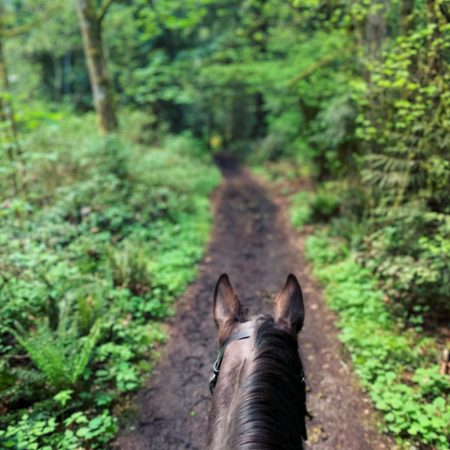 thumbnail_60a30739-bcb3-4d41-9e23-670578659571