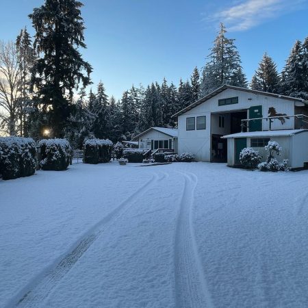 thumbnail_image0 (2)